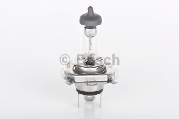 BOSCH 1 987 302 049 Bulb, headlight